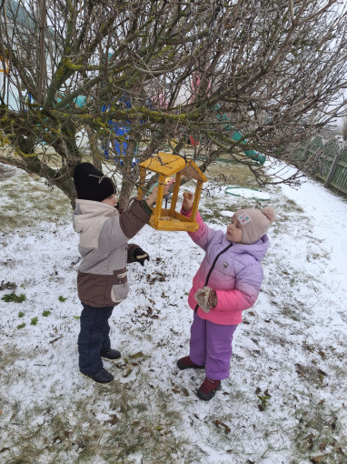 Покормите птиц зимой Покормите птиц зимой.